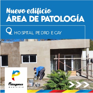 Municipalidad Patagones