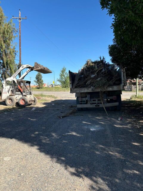 Se lanza el programa integral de limpieza “Viedma limpia en comunidad”