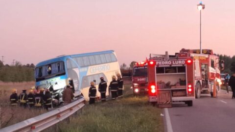 Trágico choque en la ruta 3, en cercanías a Pedro Luro