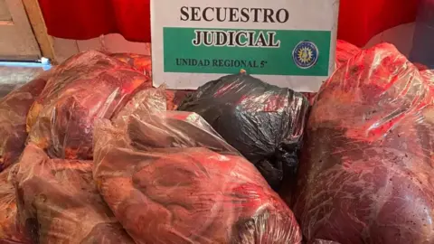 Golpe al tráfico ilegal de carne: 750 kilos decomisados