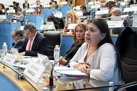Mansilla solicitará al ejecutivo provincial que incluya en el Presupuesto 2026 varias obras
