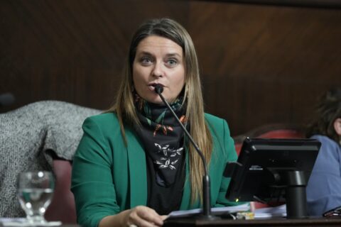 Piden incorporar al calendario escolar de la Provincia la Batalla de Carmen de Patagones