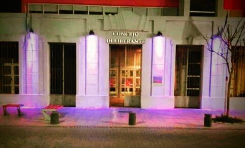 En adhesión al Purple Day, el Concejo Deliberante de Viedma se suma a la campaña internacional iluminando su edificio con color violeta