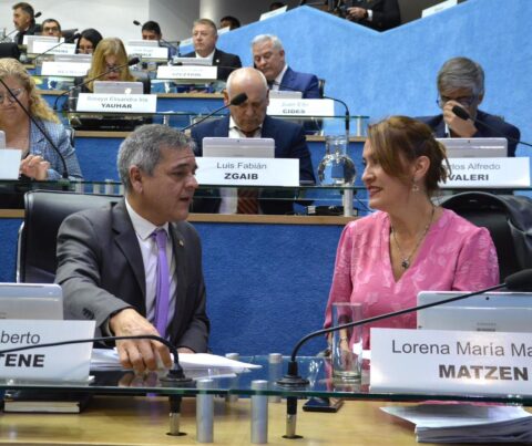 Proyecto FLNG: legisladores radicales acompañaron el acuerdo para la exportación de gas