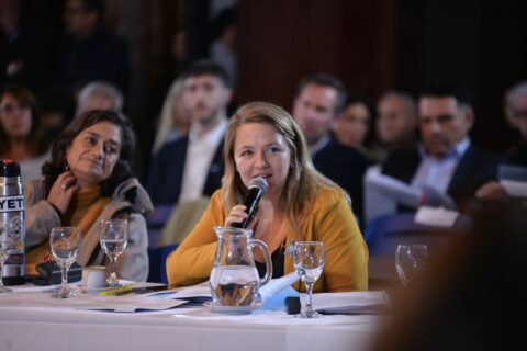 Ana Marks rechazó el proyecto para permitir la venta de tierras a extranjeros