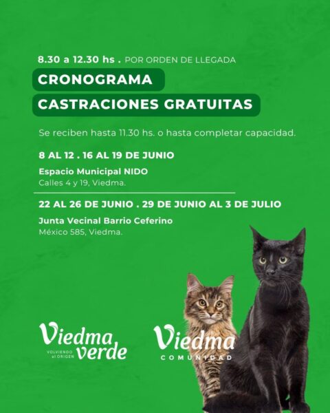 Continúan las castraciones gratuitas de mascotas