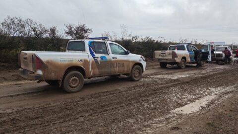 Transportaba un jabalí dentro del habitáculo del motor