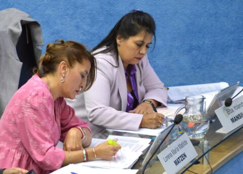 Matzen y Mansilla presentaron el Código ACV Río Negro: “Cada minuto cuenta y puede salvar una vida”