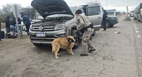 La PSA desarticuló una organización que trasladaba droga desde Salta a Buenos Aires: siete detenidos, casi 200 kilos de cocaína secuestrados y un potente arsenal incautado