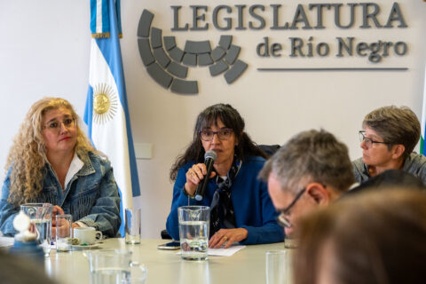 Dictamen favorable para distinguir a tres Personalidades Destacadas de Río Negro