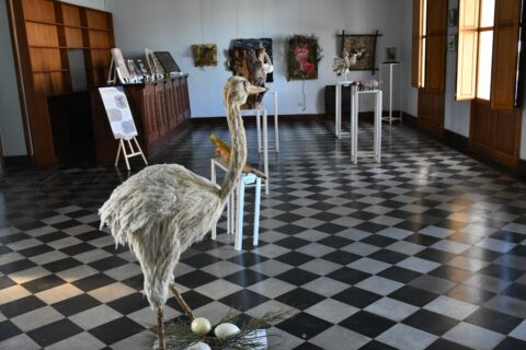 El Museo Histórico Regional Emma Nozzi invita a recorrer “Memoria, Arte y miradas de nuestra comarca”